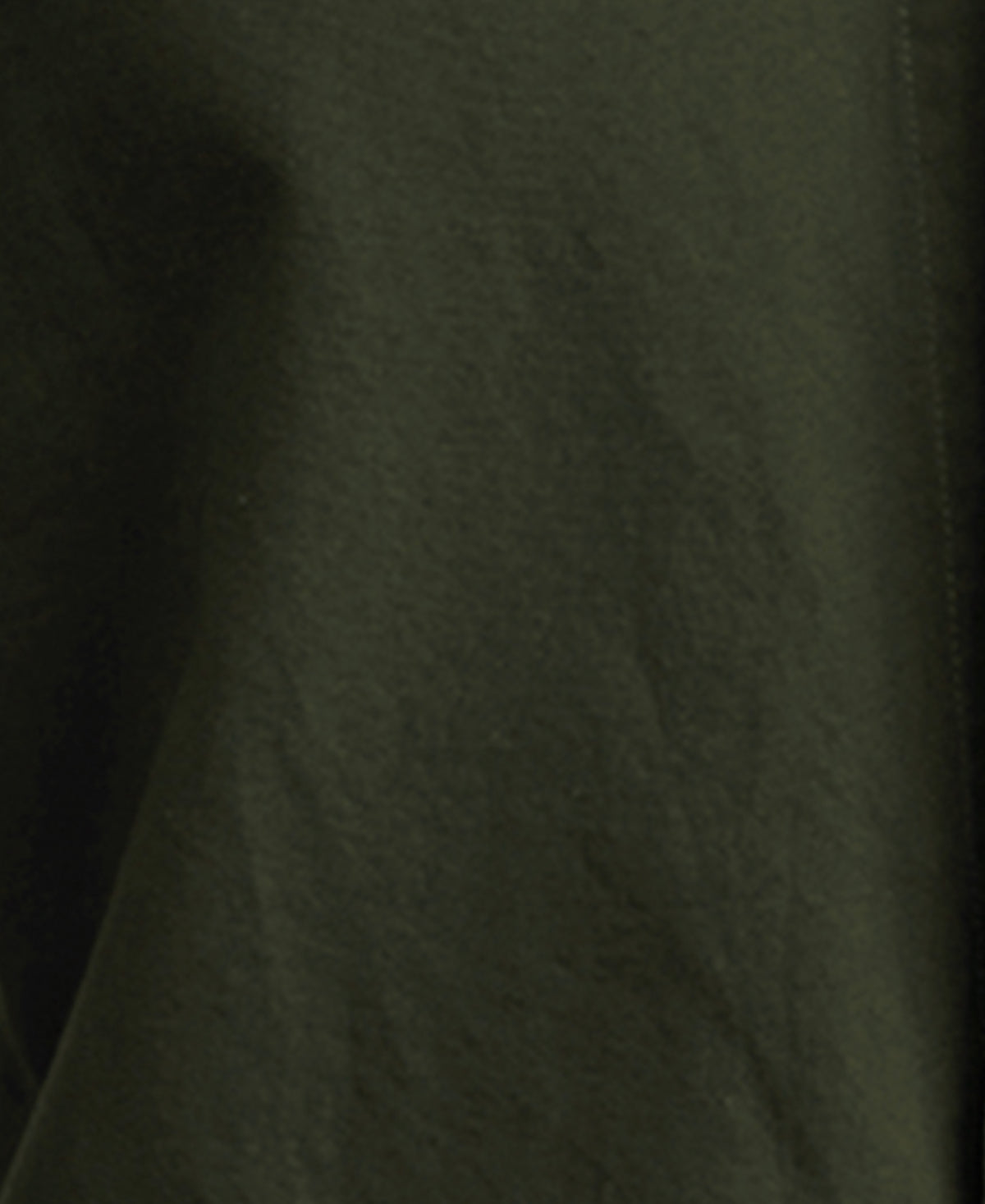 Olive Oxford Button Down Shirt
