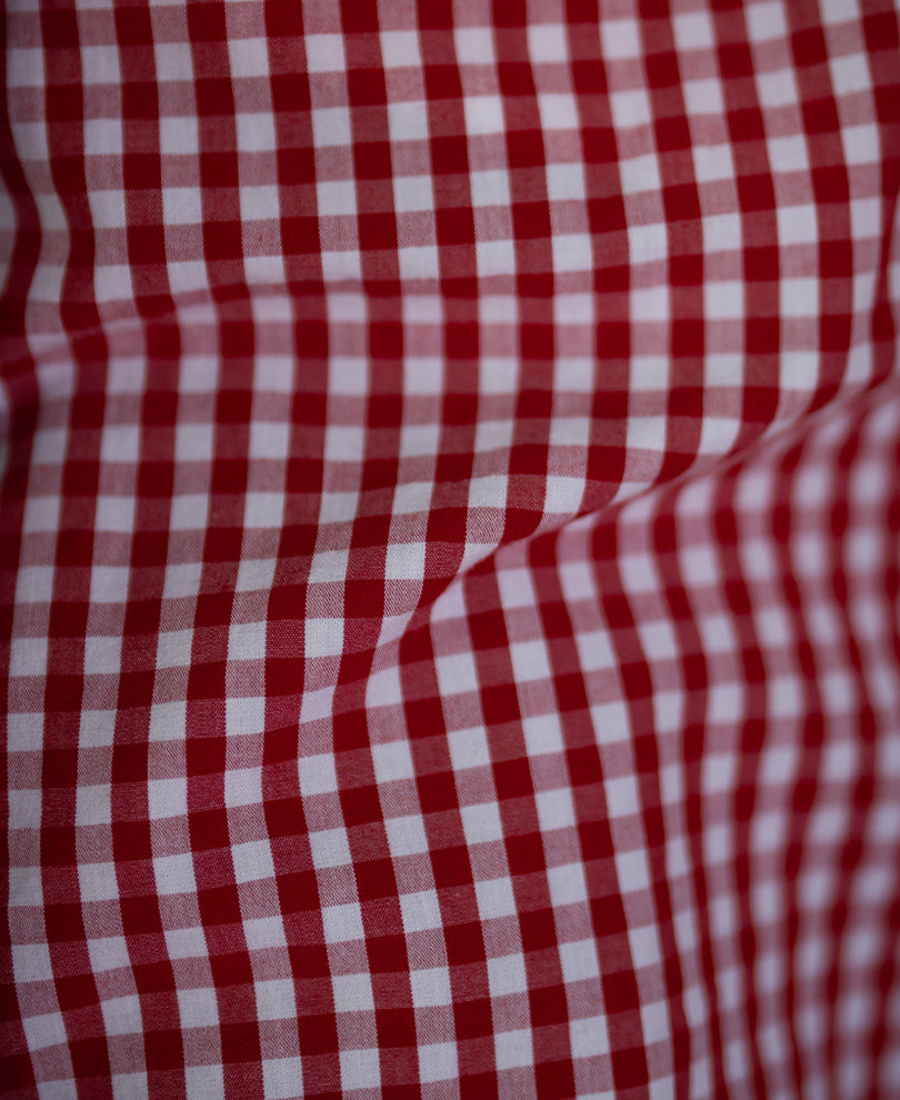 Red Printed Microchecks Shirt