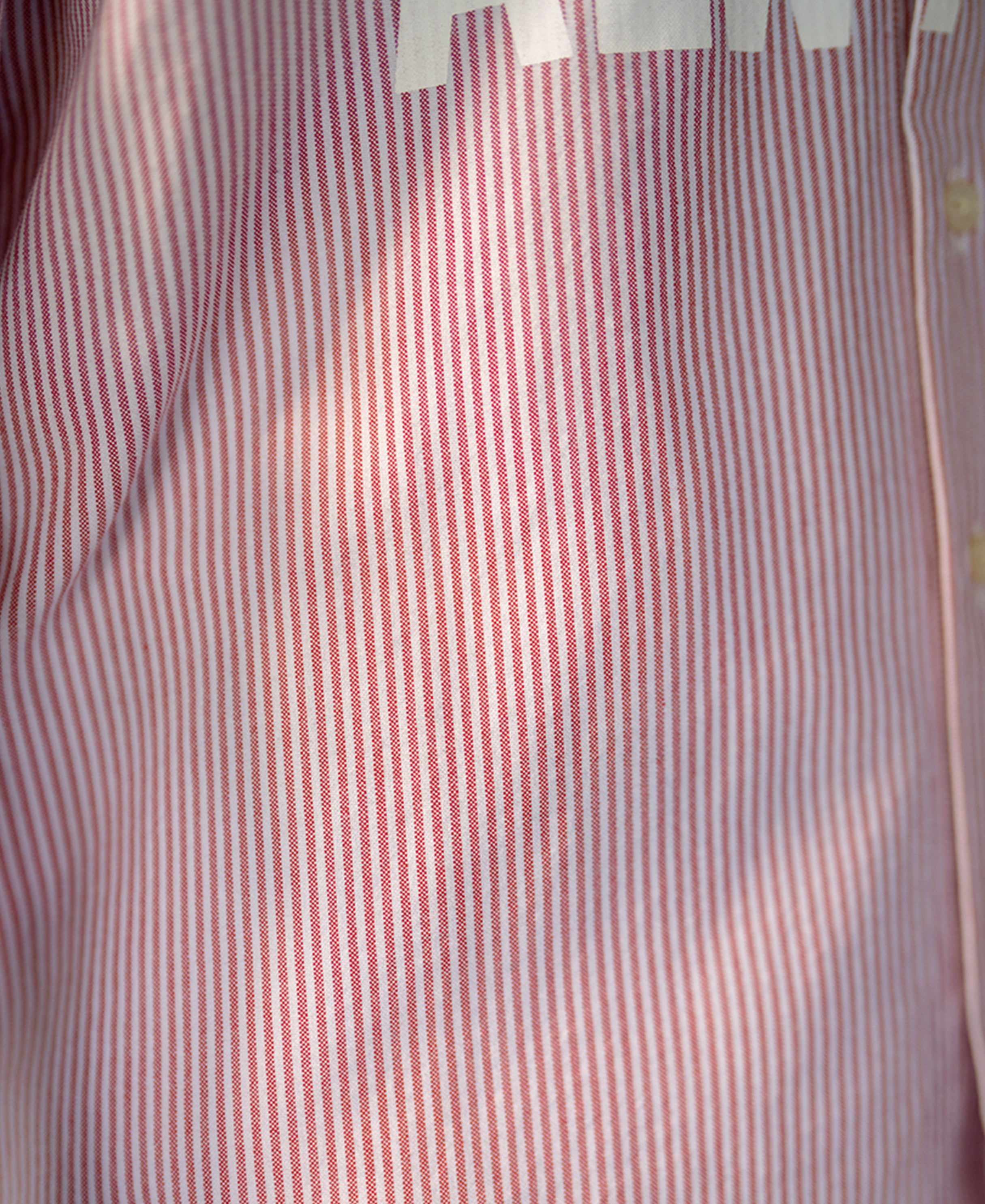 Red Printed Oxford Stripe Shirt