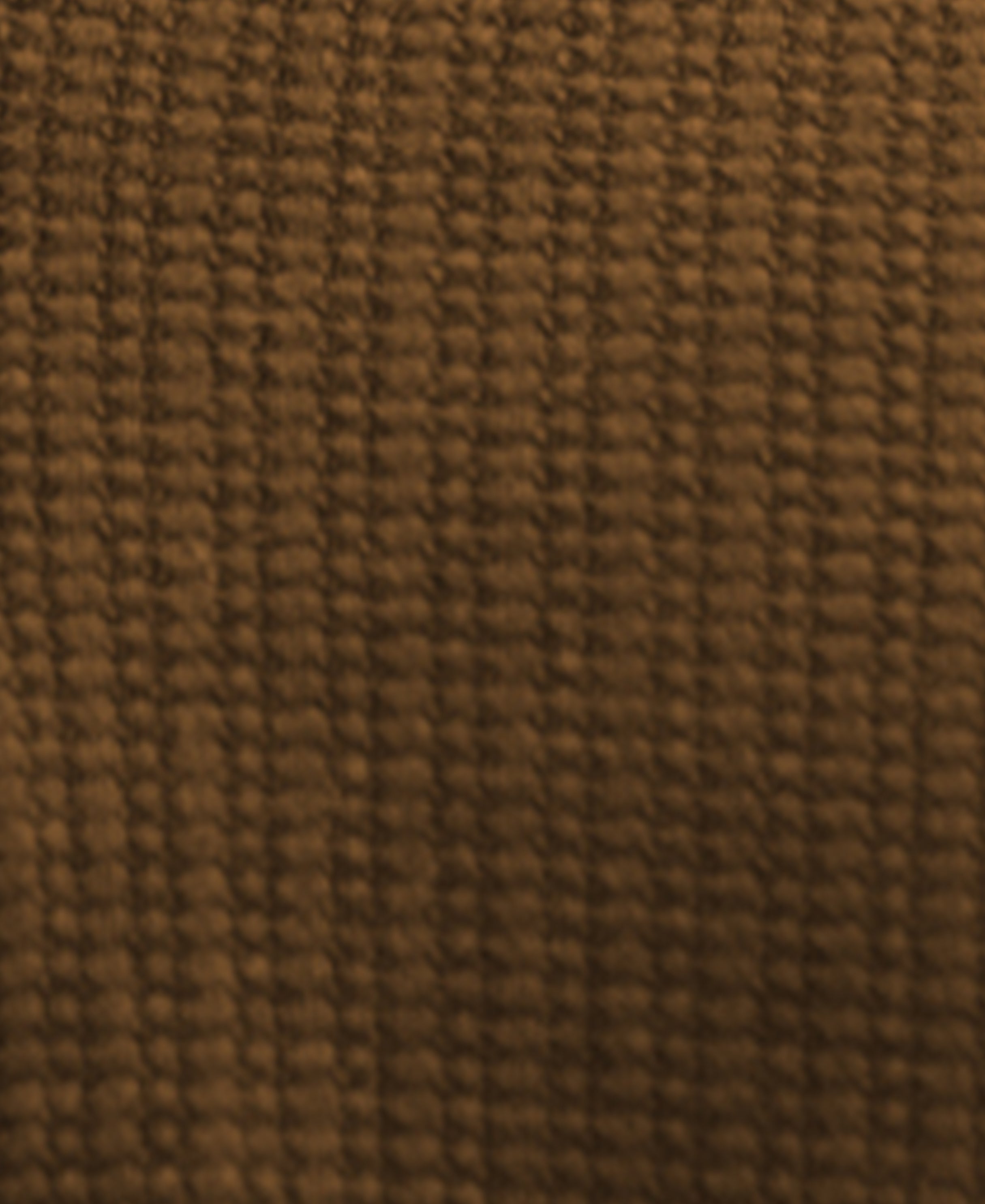 D Tan Contrast Collar Polo T-Shirt