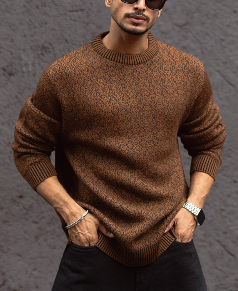 Brown Regular Fit Full Sleeves Round Neck T-Shirt.