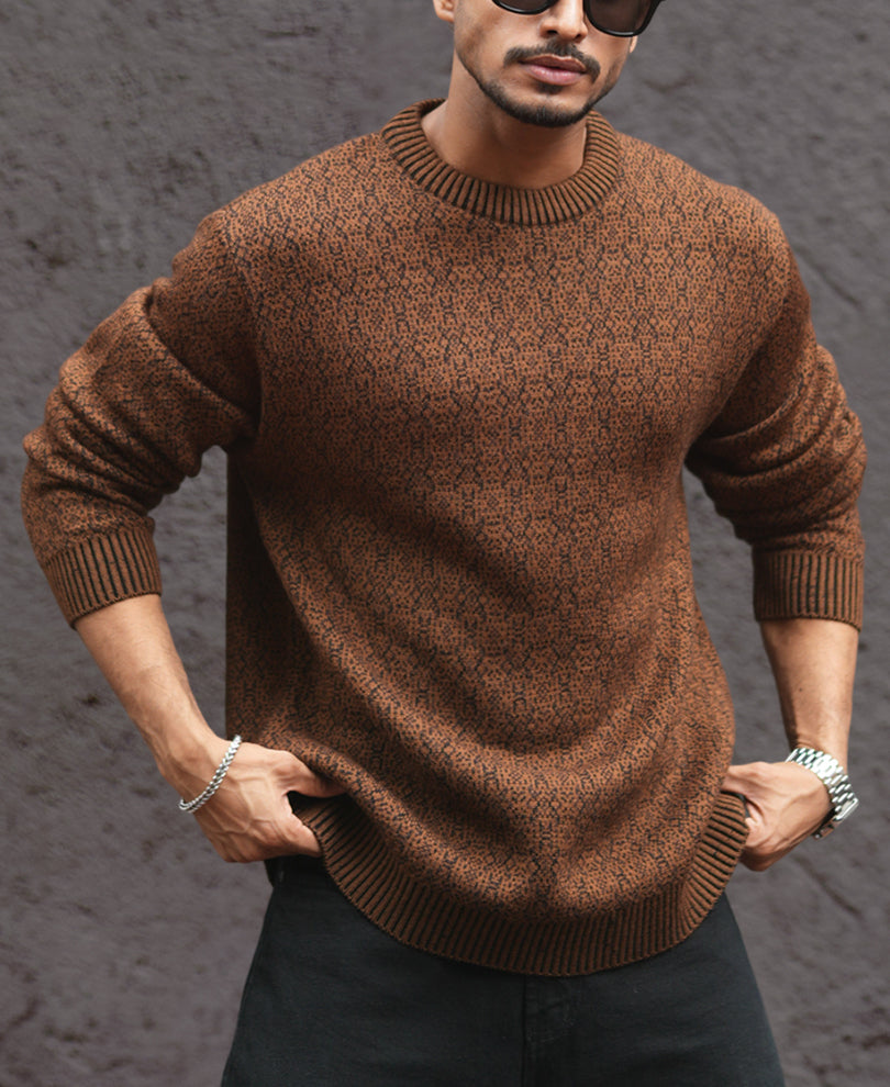 Brown Regular Fit Full Sleeves Round Neck T-Shirt.